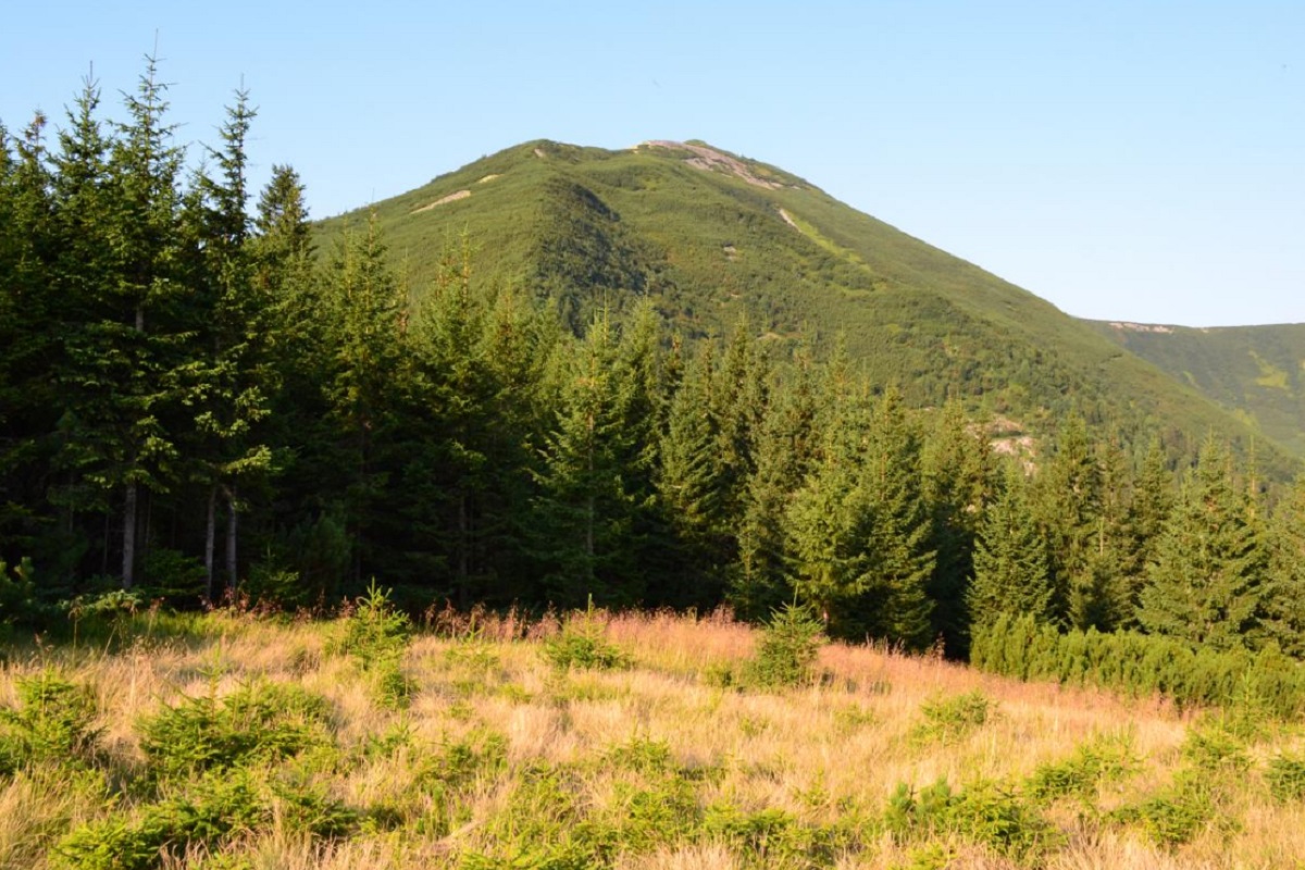 Гора Висока