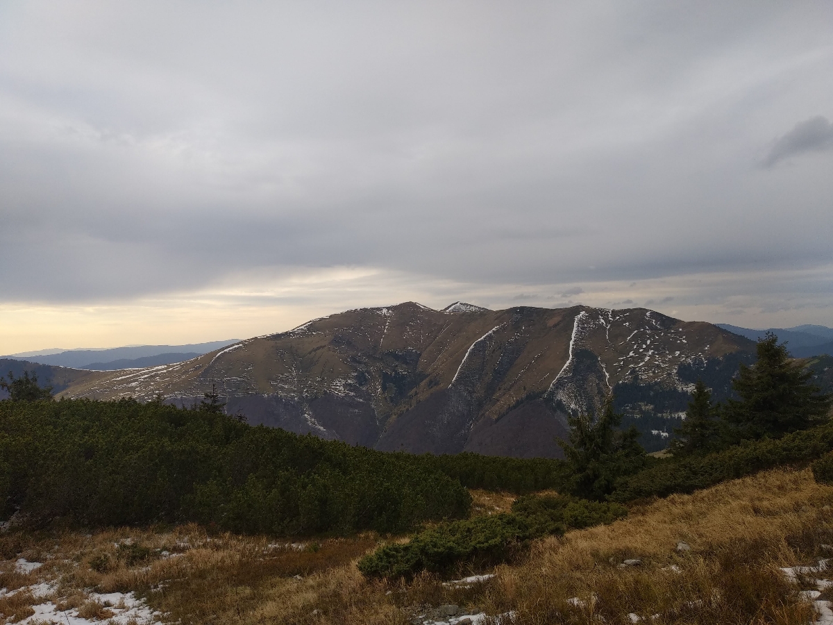 Гора Ясеновець