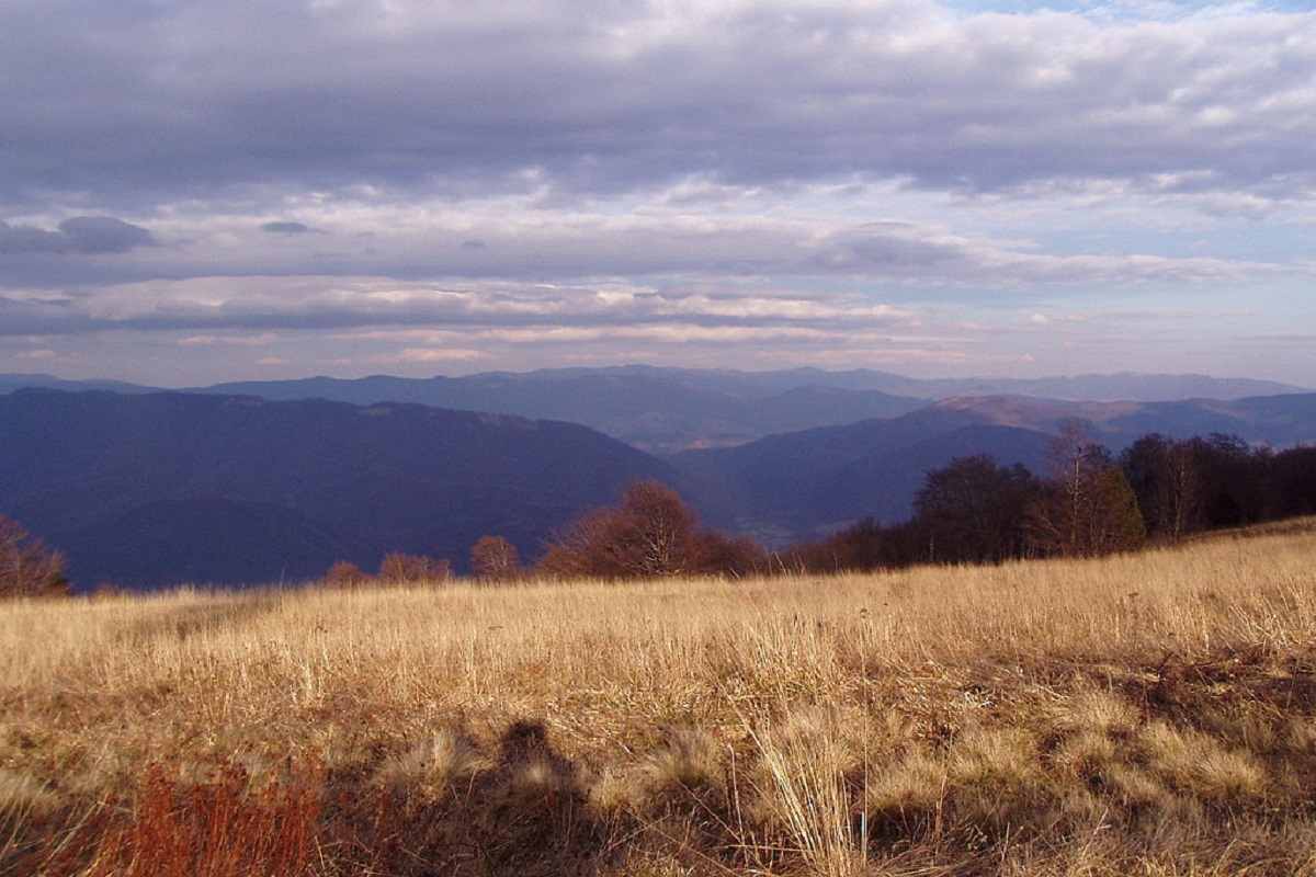 Гора Явірник