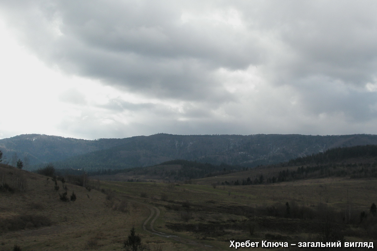 Гора Яворинка