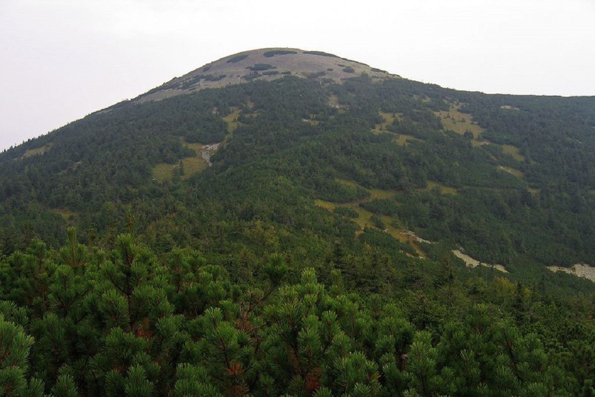 Гора Яйко-Ілемське