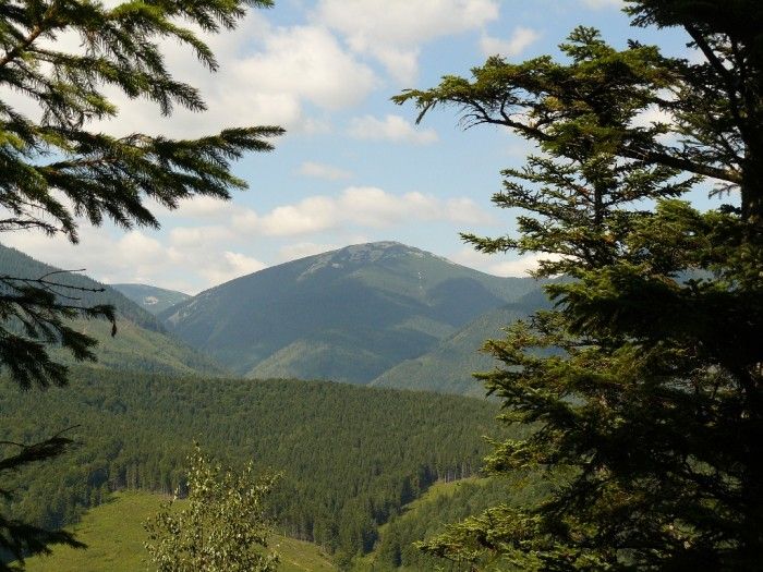 Ландшафтний заказник Грофа