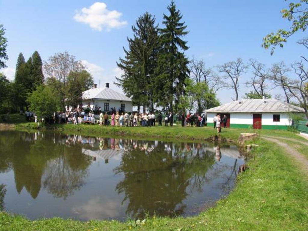 Літературно-меморіальний музей Василя Стефаника, Снятин