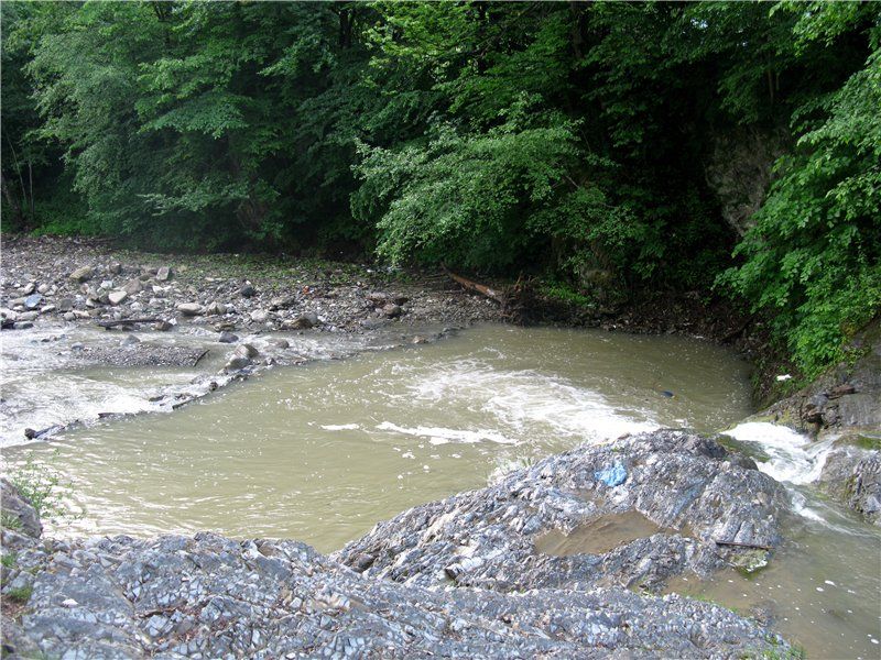 Річка Виженка