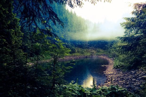 Озеро Росохан (Осмолода, Горгани)