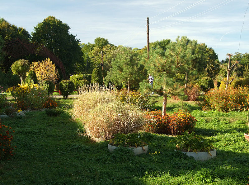 Парк 'Арборетум' – пам’ятка садово-паркового мистецтва, Болехів