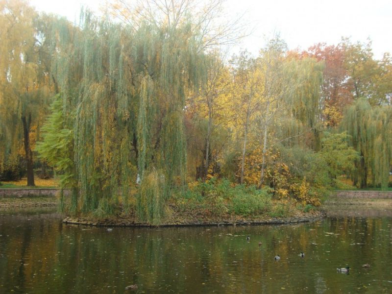 Парк культури та відпочинку імені Т. Г. Шевченка, Івано-Франківськ