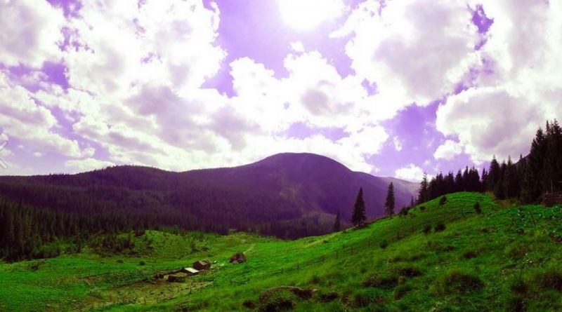 Полонина Гаджина