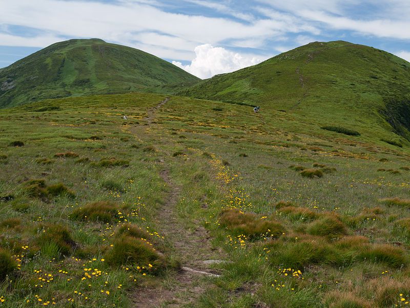 Полонина Пожижевська (Пожежевська)