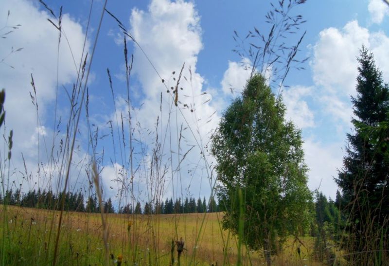 Полонина Шуваренка