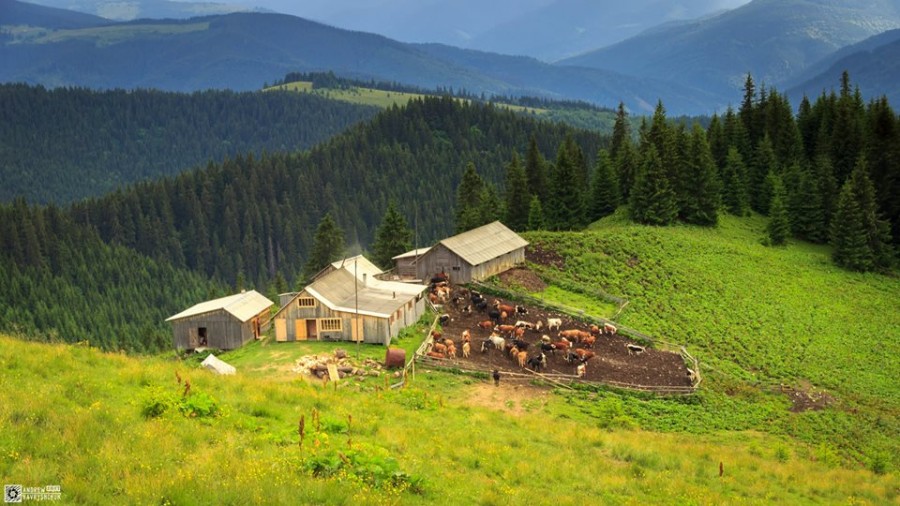 Полонина Скупова