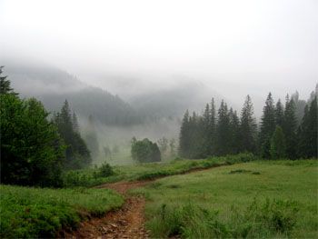 Природний заповідник 'Горгани', Надвірна