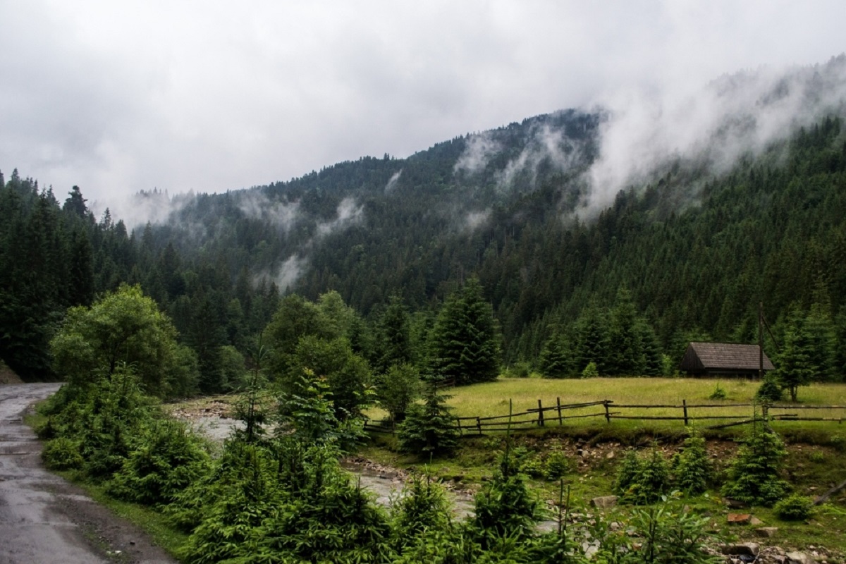 Синевирський (Міжгірський) перевал
