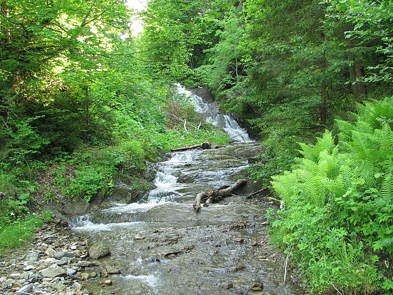 Водоспад Яворівський Гук