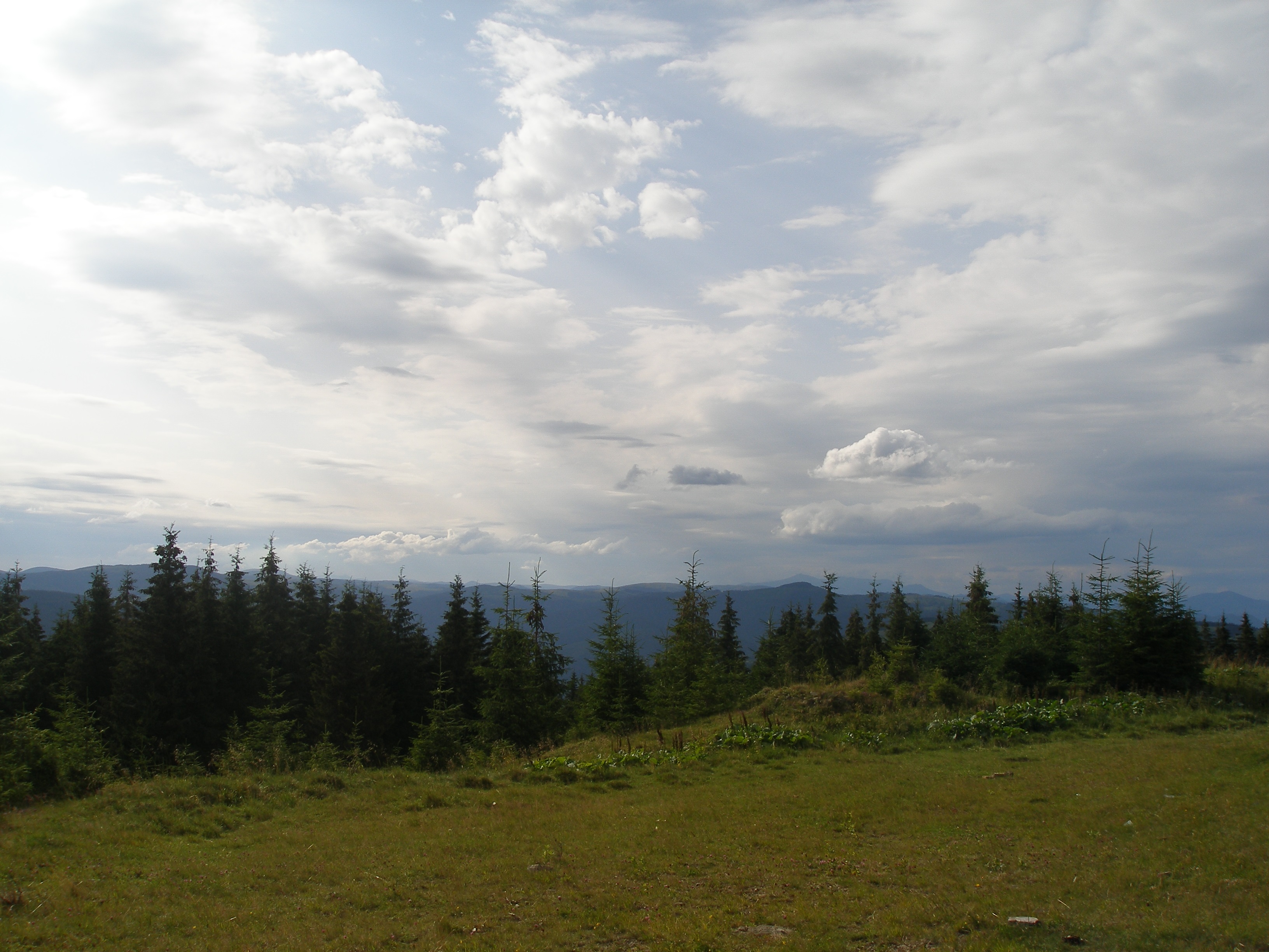 Заказник 'Чорний Діл' Сарата