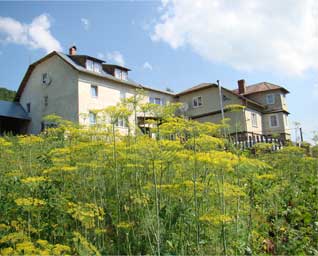 Агрооселя 'ОлЯр' Рибник (поруч Східниця)