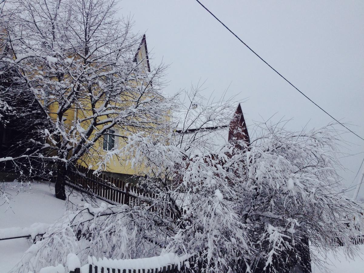 Гостьовий будинок 'Ясінь Світ' Ясіня