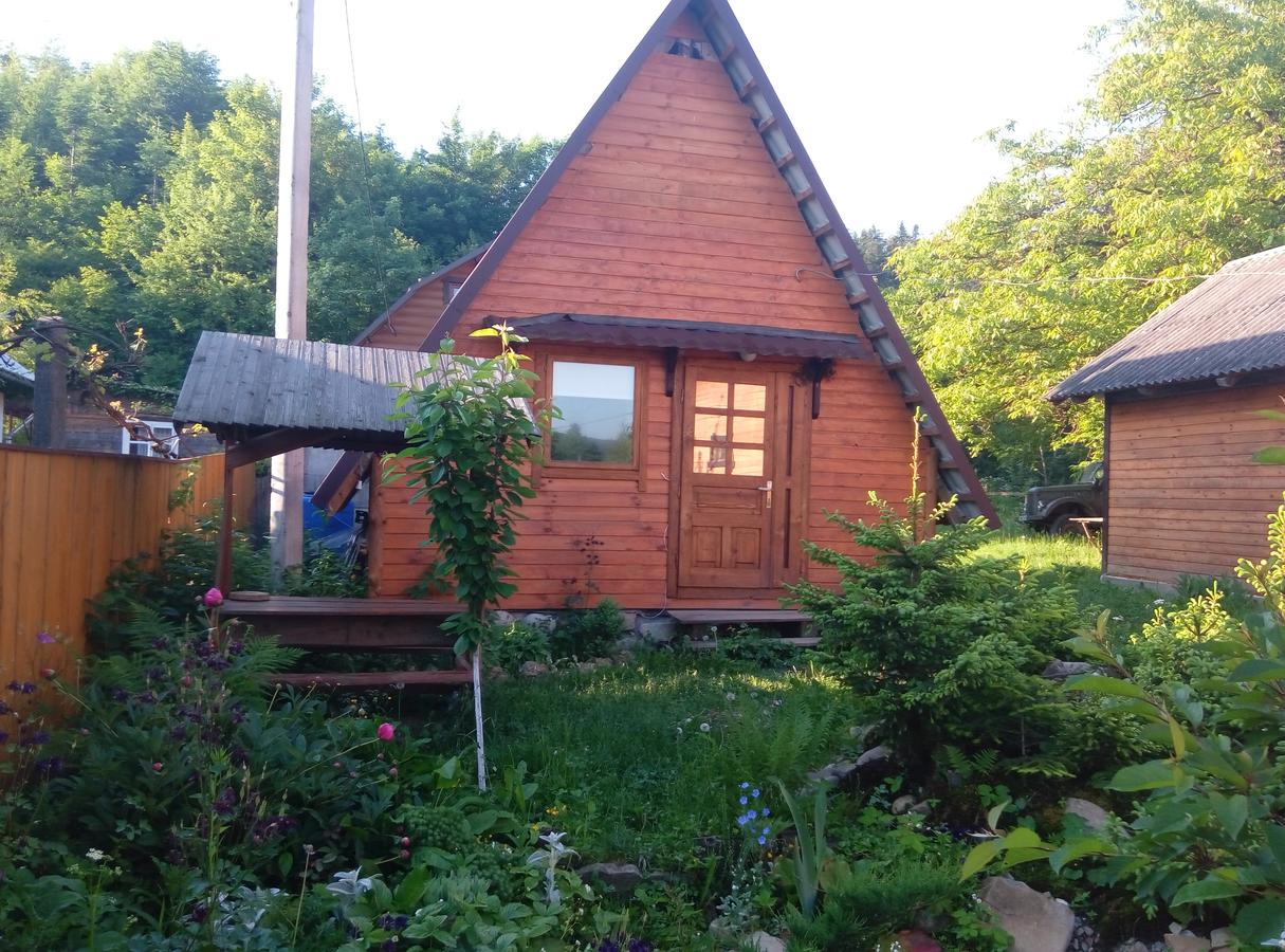 Готельний комплекс 'Карпатський рай' Шешори (чан на травах з басейном)