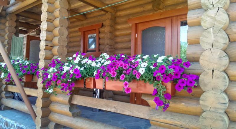 Приватна садиба 'Чотири сезони' Берегове