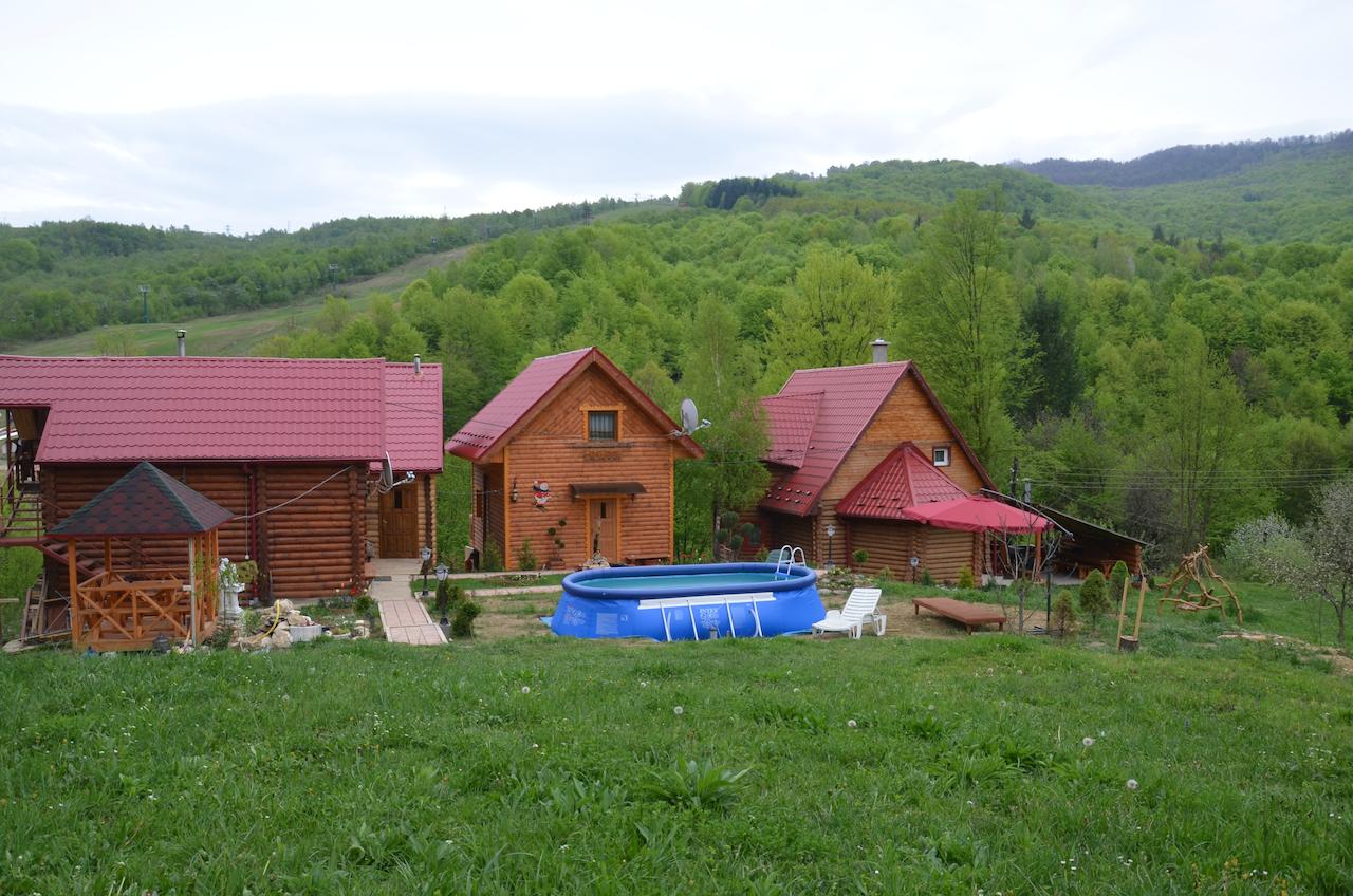 Приватна садиба 'Теремок' Вишка