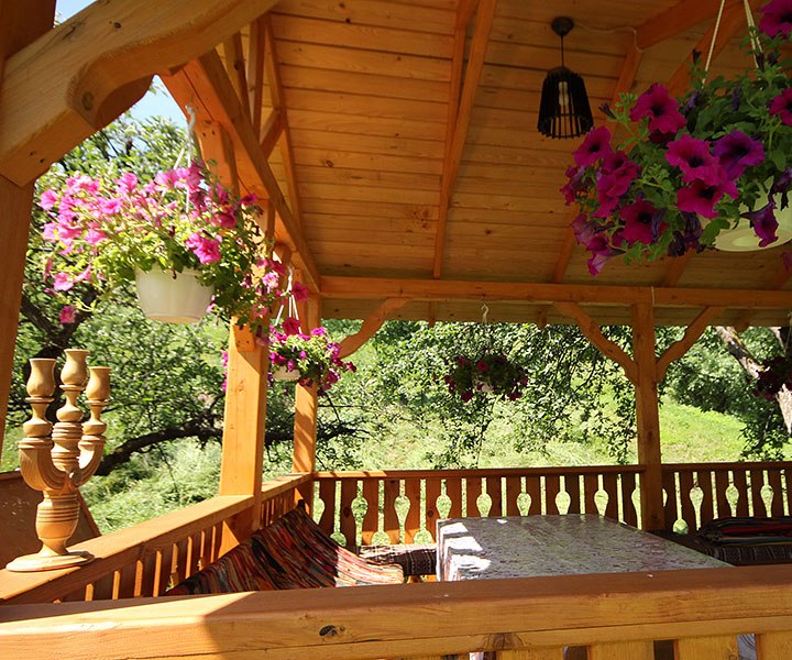 Садиба 'Незабудка' Виженка