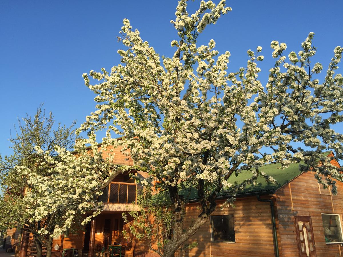 Садиба 'Під зеленим дахом' Бене
