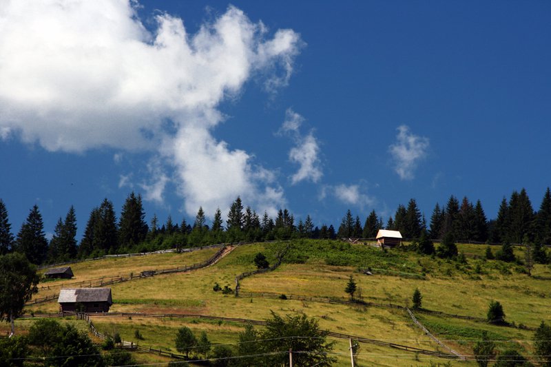 Садиба 'Відлуння Горган' Синевирська поляна