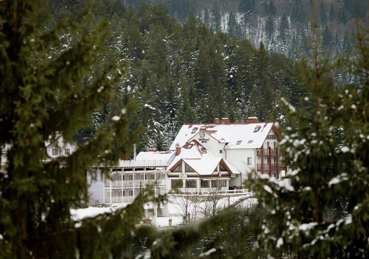 Готель 'Велланд' Яремче (басейн+конференц-зал)