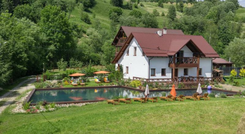 VIP-Апартаменти '5 камінів' Ясіня