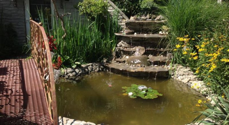 Апартаменти 'Vip-садиба Свалява'