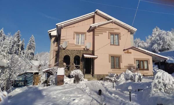 Бадьорість Карпат