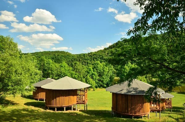 Білий Бізон