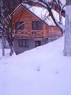 Цвіт Яблуні