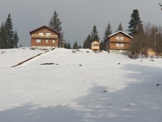 Гірське повітря