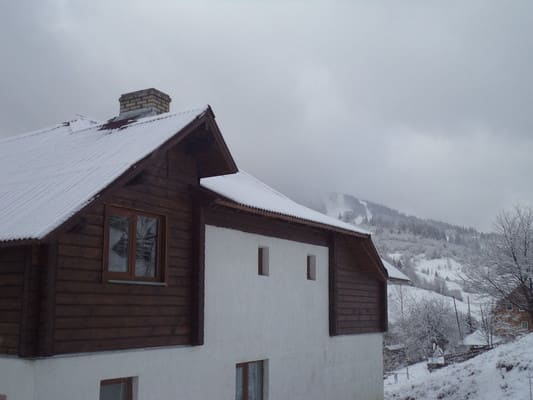 Карпатська Арніка