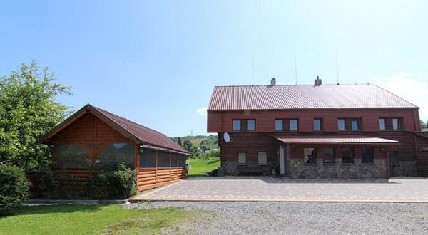 Карпатська орхідея