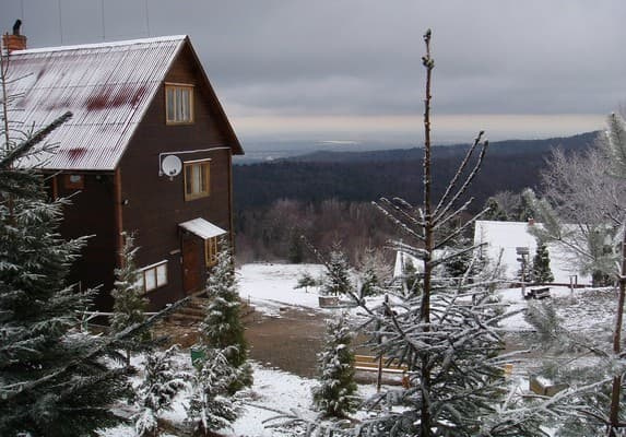 Карпатські полонини