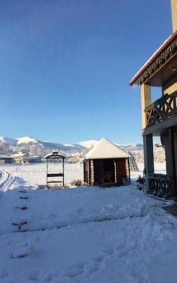 Карпатські Зорі