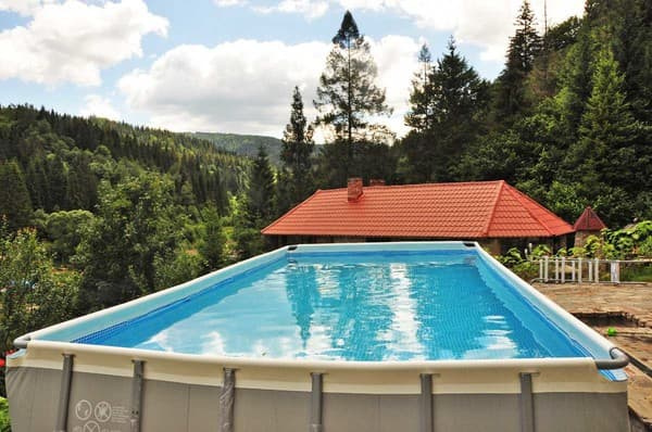 Лісова казка у пані Стефанії