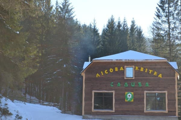 Лісова Квітка