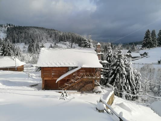 Лісова ягода