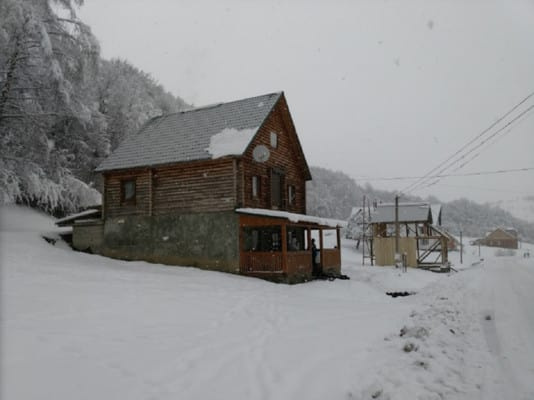 Під березами