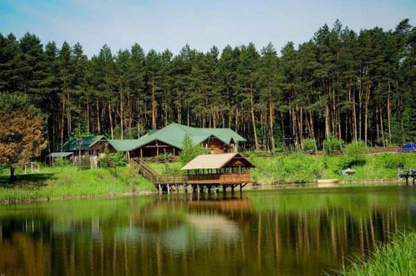 Сосновий бір