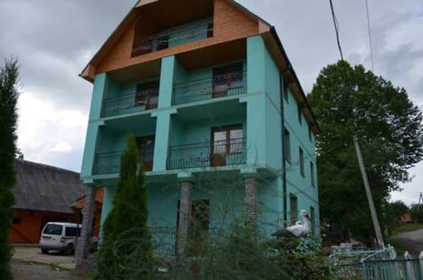 У Мар'яни і Міші