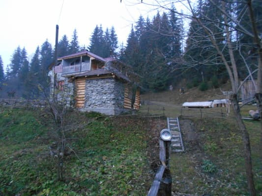 У Міші та Ярослави