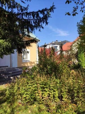 У Роксолани