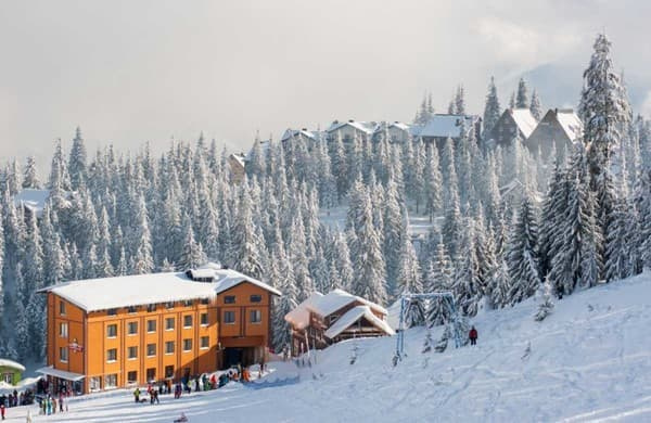 Вершина Карпат