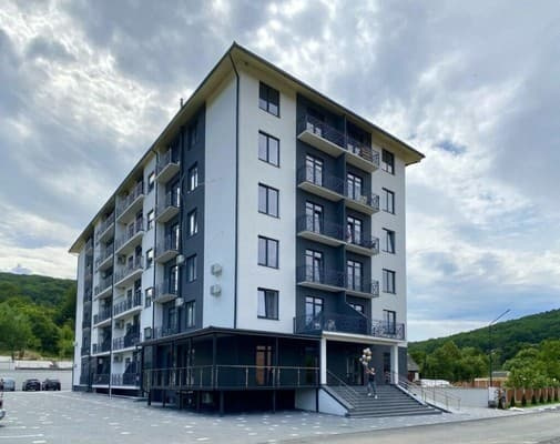 Village apartments Polyana