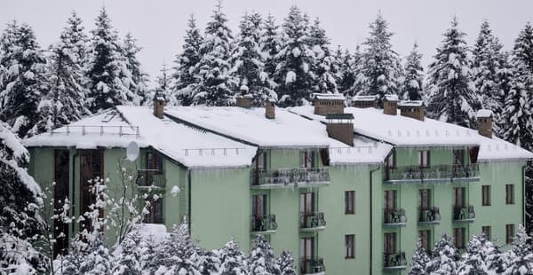 Зелений бір