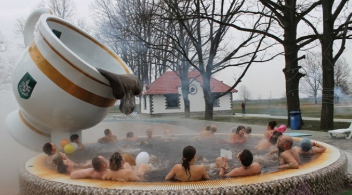 Оздоровчо-рекреаційний комплекс 'Косино'